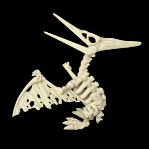 Creatures: Skeleton Pteranodon