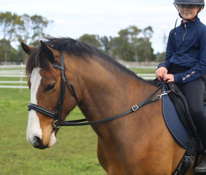 Products: Pony Stability Reins DH Equestrian