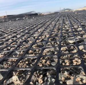 Products: Geogrid 40/40 100sqm roll DH Garden Supplies