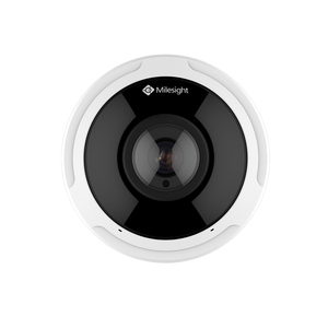 12MP AI 360° Panoramic Fisheye Network Camera (MS-C9674-PA)