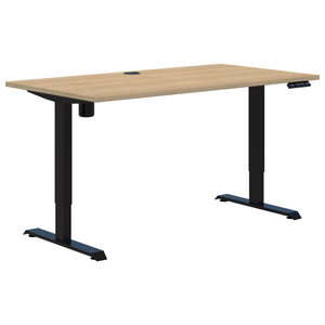 Duo II Electric Desk 1500 x 750