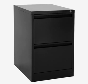 Office Storage: Proceed 2 Drawer Filing Cabinet