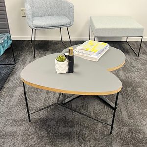 Divi Pebble & Flat Disc Coffee Table (set of 2)