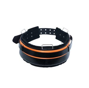 Belts and Frogs: Back Support Belt