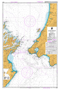 Books: LINZ NZ46 Cook Strait Paper Chart