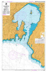 Books: LINZ NZ4633 Wellington Harbour Paper Chart