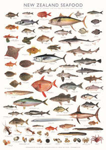 Nautical Charts: New Zealand Fish Species Seafood Poster