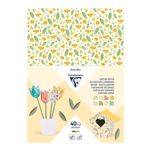 Clairefontaine: Clairefontaine Decoration Cardboard Spring,, 25x35cm 160g, 40 Sheets