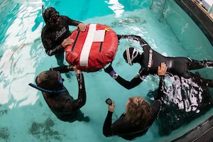 Basic Freedive Course