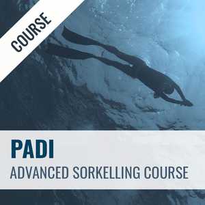 Courses Home: Advanced Snorkelling Course