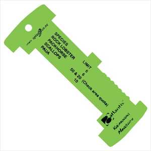Snorkelling Equipment: Atlantis Measurer