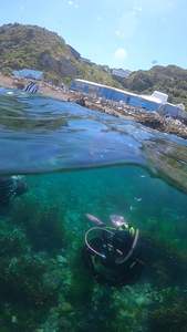 Dive Club: Guided Shore Dives