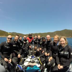 Nz Dive Trips: Northland Trip- Poor Knights and Bay of Islands- January 15th- 20th 2026