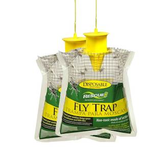 Flies: Fly Trap x 2