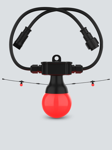 Equipment Sales: Festoon 2 RGB EXT