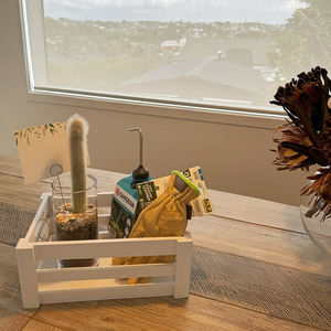 Easy Care: Cactus gift pack
