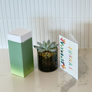 Easy Care: Greenery gift pack