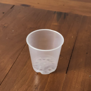 Planters: Clear Pot Mini 6cm