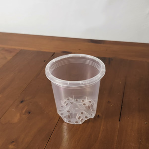 Planters: Clear Pot 9cm
