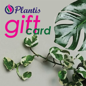 Plant And Pot Gifts: Digital Gift Cards