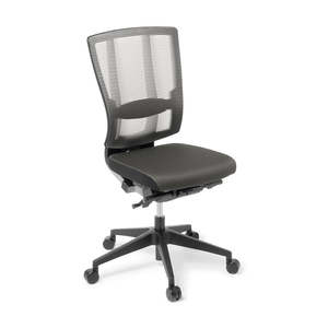Contemporary Executive Office Furniture: EDEN Cloud Ergo Chair