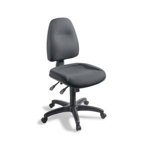 Heavy Duty Chairs: EDEN Spectrum 2 500 Seat Chair