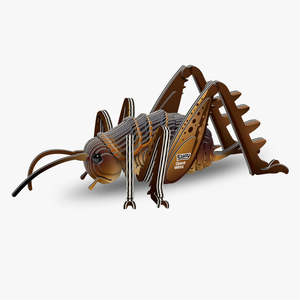 119 Giant Wētā