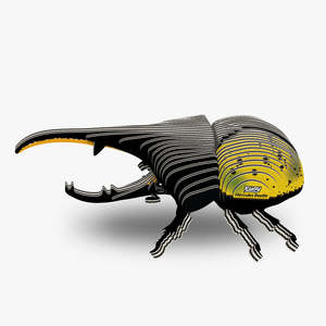 Sky: 112 Hercules Beetle