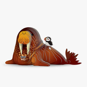Water: 107 Walrus