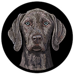 The Doggieology Pack: Doggieology Art - Weimarana