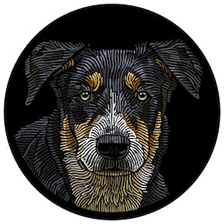 The Doggieology Pack: Doggieology Art - Huntaway