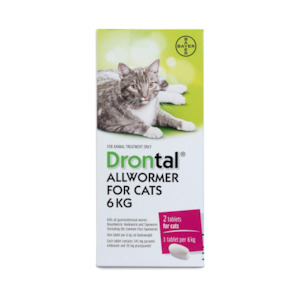 Drontal All Wormer For 6kg Cats 2 tablets