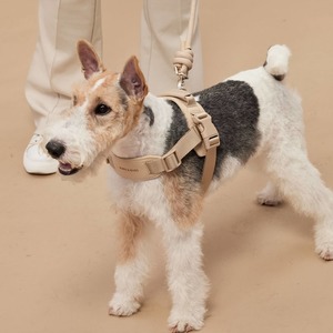 Rover Harness | Ultra Comfort Fabric: Sand / S