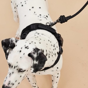 Rover Harness | Ultra Comfort Fabric: Black / M