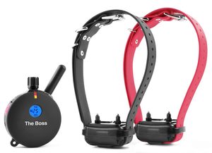 ET-802 2 Dog “The Boss” Remote Dog Trainer