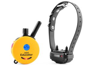 ET300 Collar Mini Educator 700m Remote Dog Trainer