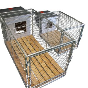Single Kennel with Run: Size-Medium