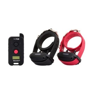 All Dog Training: Fe-562 2-dog Fob Educator®