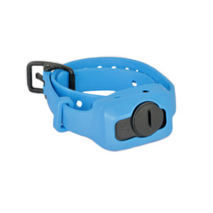 Products: Dogtra CLiQ Clicker Add A Dog Extra Training Collar Blue