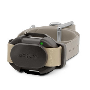 Products: Dogtra CUE 2 Additional Receiver Collar
