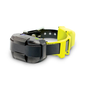 Products: Dogtra GPS Dog Fence System - min. 3000sqm