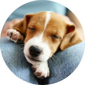 Donate – you choose