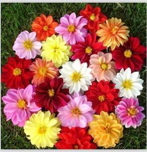 Diamond Art: 5D Diamond Art Flowers 20x20cm