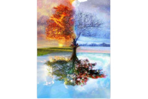 Diamond Art: 5d Diamond Art 4 Seasons 30x40cm