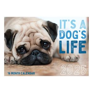 Diaries And Calendars: Calendar 2025 Dogs and Puppies
