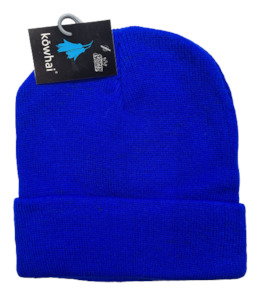 Winter: Beanie Acrylic Blue
