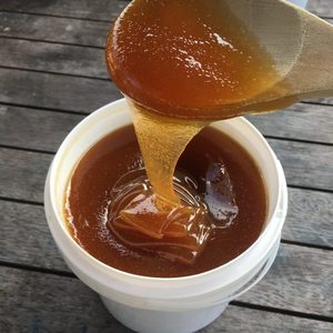 Products: Kanuka Honey 2.5kg minibucket – Waitakere Ranges