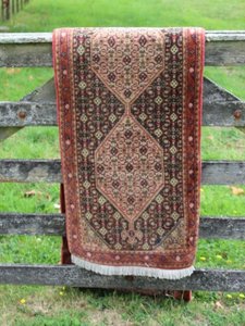 Persian Runner - Dooley Street Styling