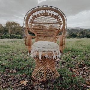 Cane Peacock Chair - Dooley Street Styling
