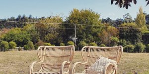 Cane Wingback Chairs - Dooley Street Styling